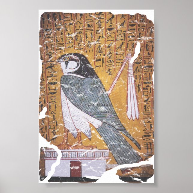 Falcon blass poster (Vorne)