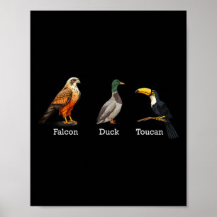 Falcon Duck Toucan Birds Subtile Anti Trump _1 Poster