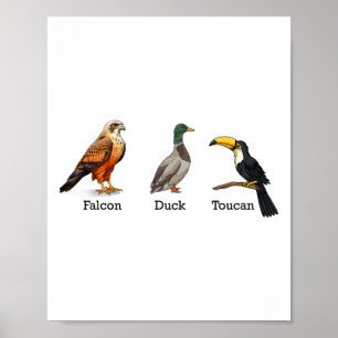 Falcon Duck Toucan Vögel Subtile Anti Trump Poster