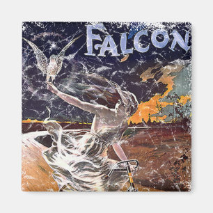Falcon Fahrrad - abgenutzt Magnet
