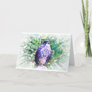 Falcon Greeting Card Karte