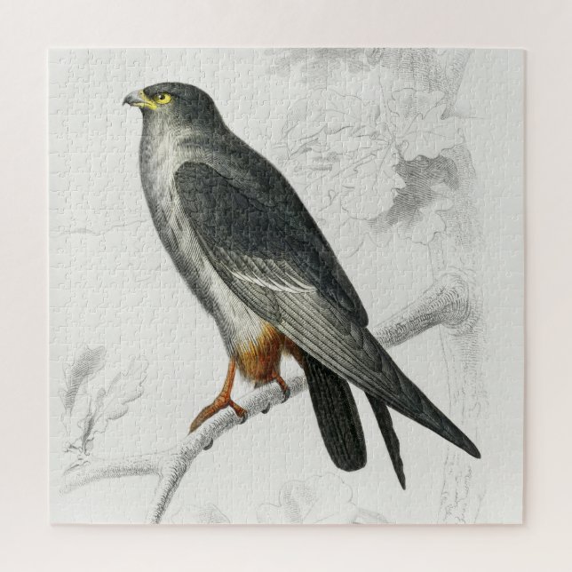 Falcon Illustration Vintag Art Print Puzzle (Vertikal)