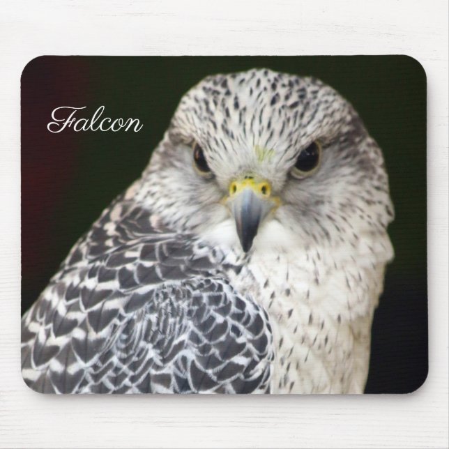 Falcon Mousepad (Vorne)