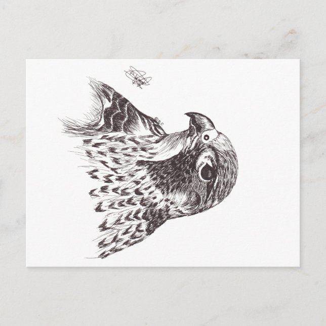 FALCON POSTKARTE (Vorderseite)