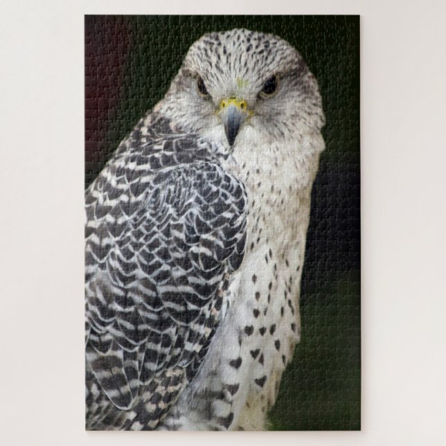 Falcon Puzzle (Vertikal)