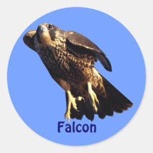 Falcon Raptor Birdlover's Wildlife Sticker