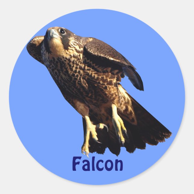 Falcon Raptor Birdlover's Wildlife Sticker (Vorderseite)