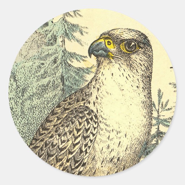 Falcon Runder Aufkleber (Vorderseite)