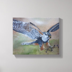 Falcon Stretched Canvas Print Leinwanddruck