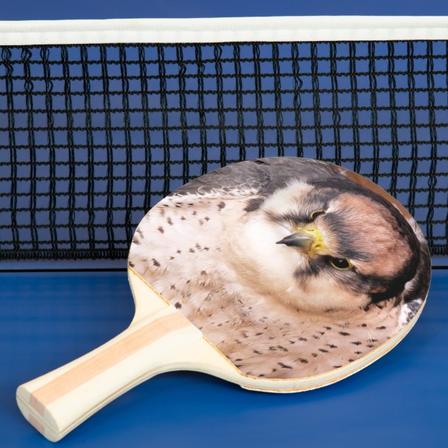 FALCON TISCHTENNIS SCHLÄGER (InSitu)