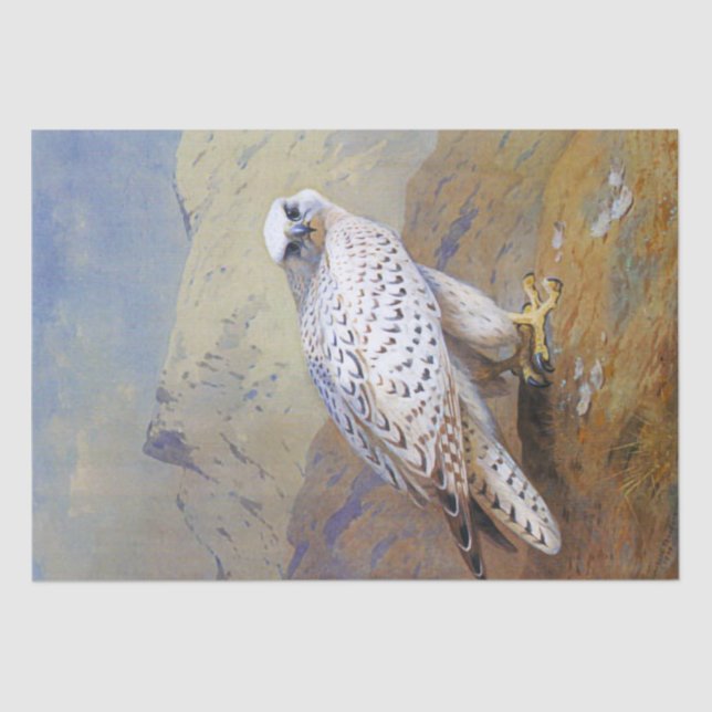 Falcon Watercolor Wildlife Seidenpapier (Vorderseite)