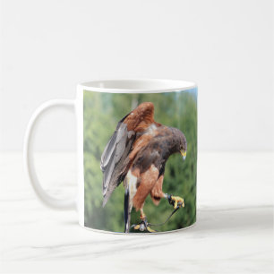 Falconry, Jessed Harris Hawk Tasse