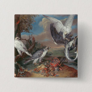 Falcons Grönlands Cyr Button