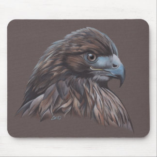 Falke in farbigem Bleistift Mousepad
