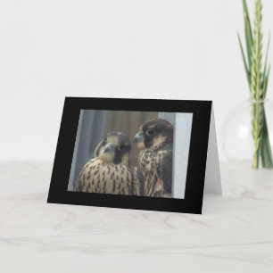 Falkeanmerkungskarte Karte