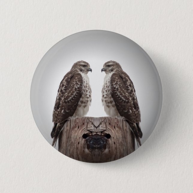 Falken auf einem Posten Button (Vorderseite)