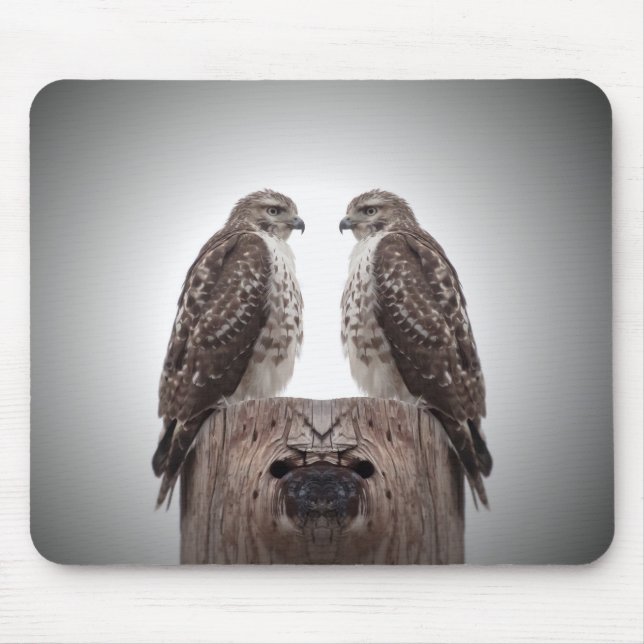 Falken auf einem Posten Mousepad (Vorne)