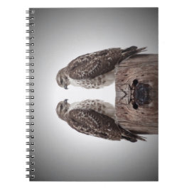 Falken auf einem Posten Notizblock