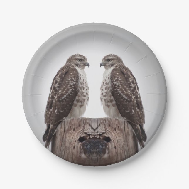 Falken auf einem Posten Pappteller (Vorderseite)