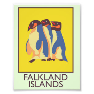Falklandinseln Fotodruck
