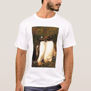 Falklandinseln. Gentoo-Pinguine. (Pyroscelis T-Shirt