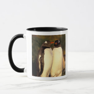 Falklandinseln Gentoo Pinguine. (Pyroscelis Tasse