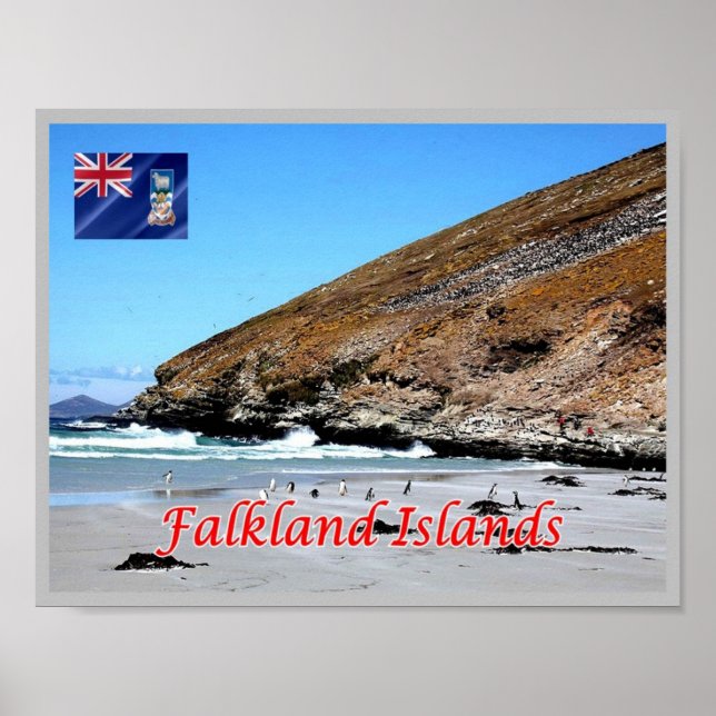 Falklandinseln - poster (Vorne)