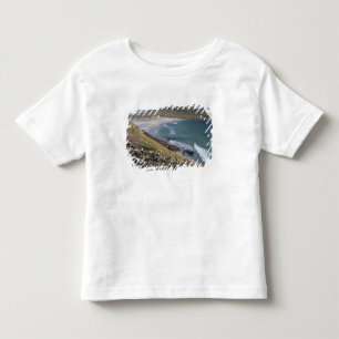 Falklandinseln, West Falkland, Saunders Kleinkind T-shirt