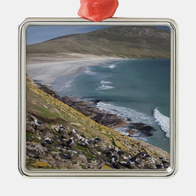 Falklandinseln, West Falkland, Saunders Ornament Aus Metall (Vorne)