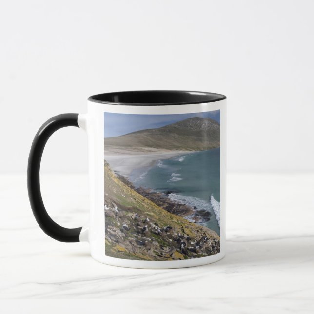 Falklandinseln, West Falkland, Saunders Tasse (Links)