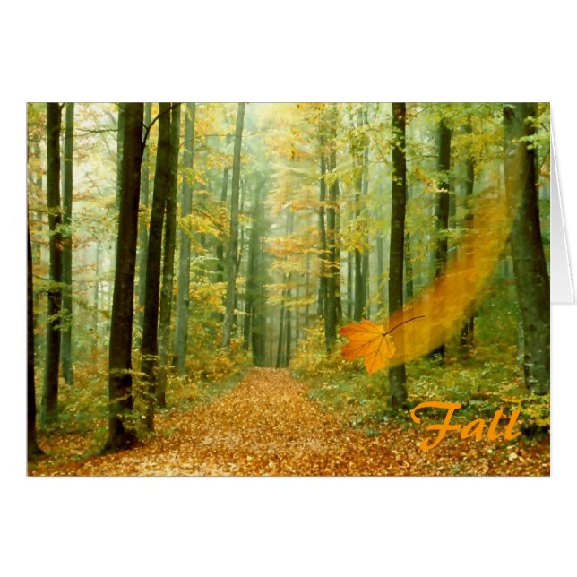 Fall (Vorderseite (Horizontal))