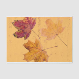 Fall Ahornleaf Brown and Orange Tissue Paper Seidenpapier