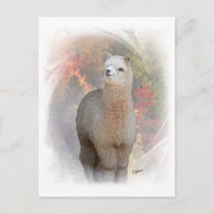 Fall Alpaca Postkarte