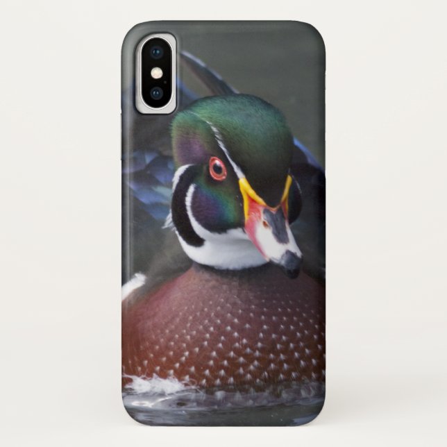Fall American Wood Duck iPhone X Case-Mate iPhone Hülle (Rückseite)