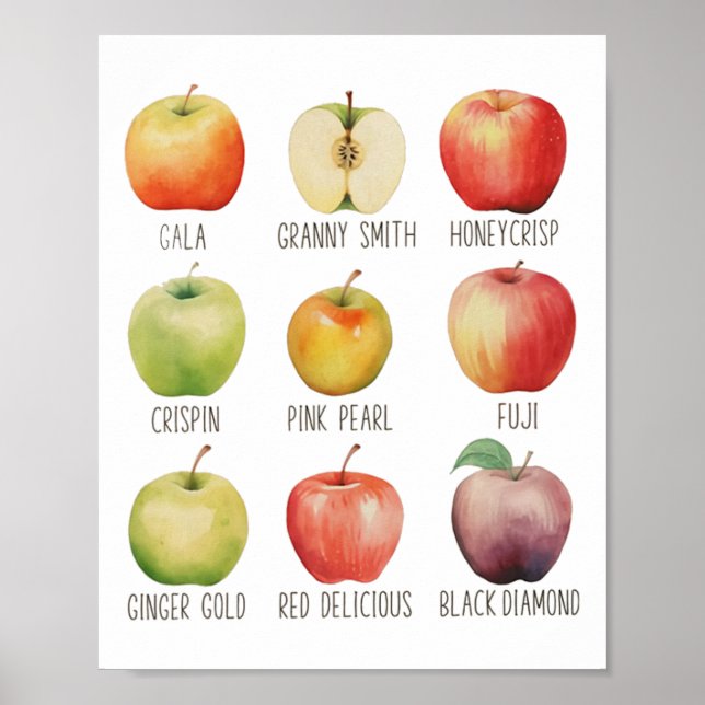 Fall Apple picken Apple Orchard Boho Farm Festhalt Poster (Vorne)