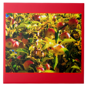 Fall Apples Tile Fliese