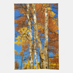 Fall Aspen Farbe Natur Foto © Sandy Long Geschirrtuch