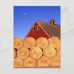 Fall auf dem Bauernhof Postkarte