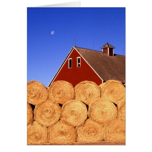 Fall auf den Bauernhof (Vorne)