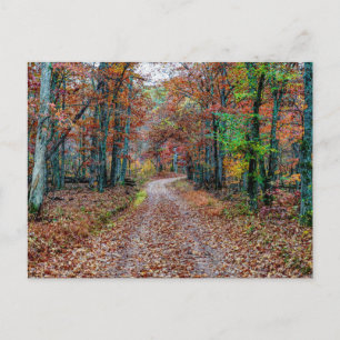 Fall auf der Postkarte der Fernstraße