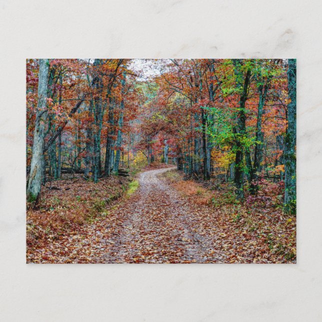 Fall auf der Postkarte der Fernstraße (Vorderseite)