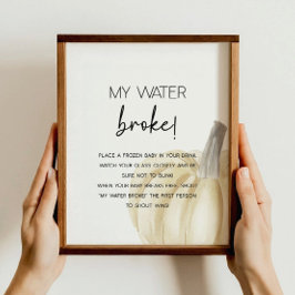 Fall Baby Shooter Game Poster