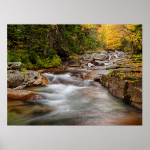 Fall bei Jefferson Brook, New Hampshire Poster