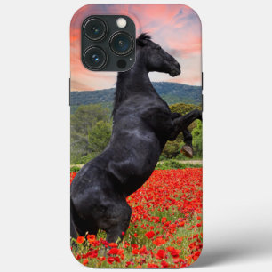 Fall Black Beauty und Poppy Field Case Mate iPhone