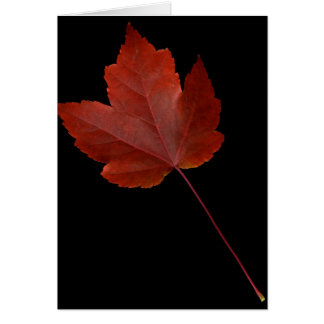 Fall-Blatt