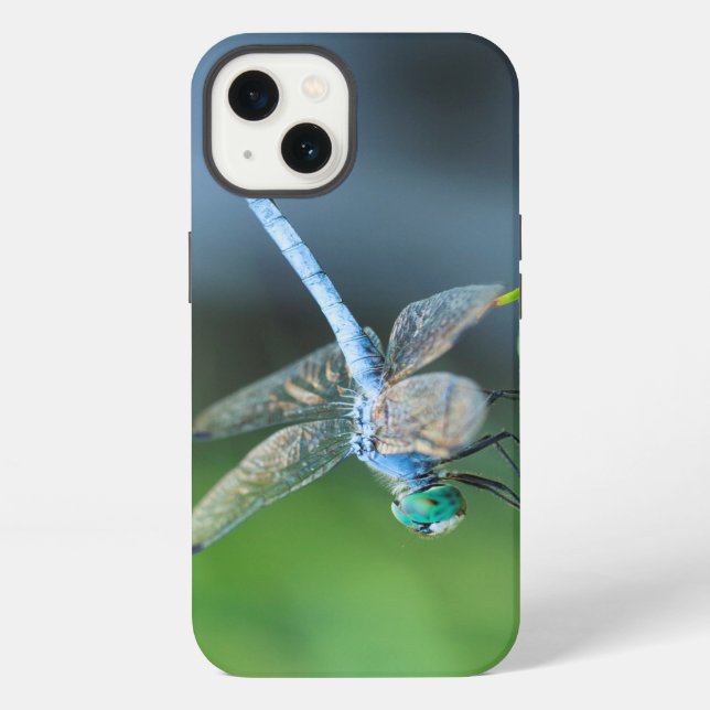 Fall Blue Dragonfly iPad oder Phone iPhone Hülle (Rückseite)