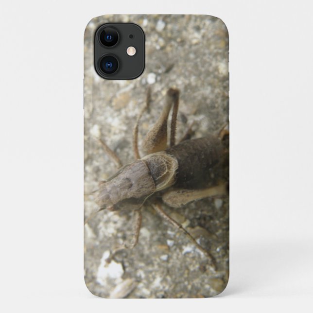 Fall Brawn Field Cricket iPhone 3 Case-Mate iPhone Hülle (Rückseite)