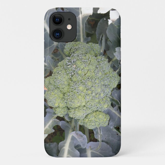Fall Broccoli i iPhone 3 Case-Mate iPhone Hülle (Rückseite)