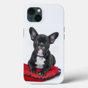 Fall Bulldog Case-Mate iPhone Case-Mate iPhone Hülle