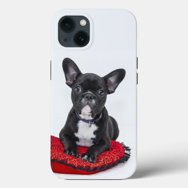 Fall Bulldog Case-Mate iPhone Hülle (Rückseite)